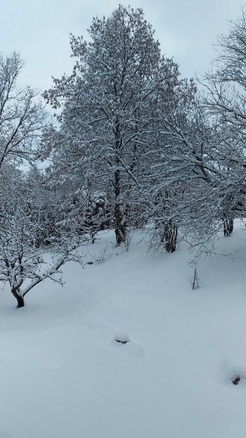 Joli Studio Sympa Saint-Jean-Saint-Nicolas ภายนอก รูปภาพ